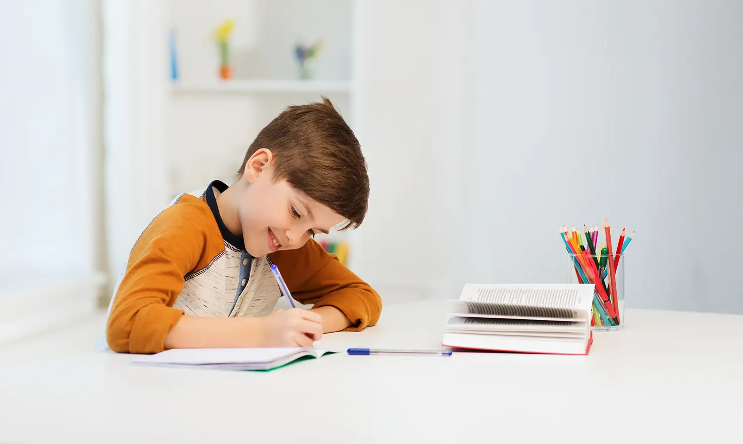 studiebegeleiding